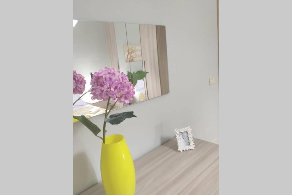 Apartment Miriade 巴莱斯特拉泰 外观 照片